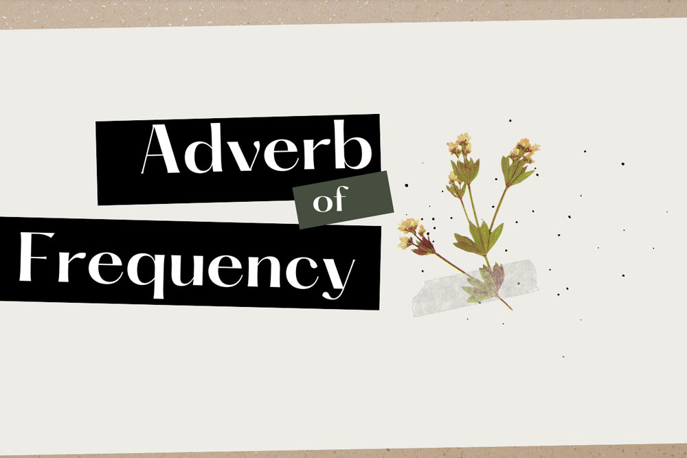 Adverb of Frequency